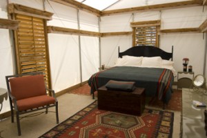 SHSC Comfy Deluxe Rooms